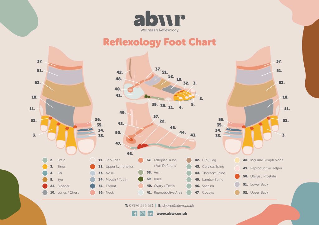 Reflexology map of all the points of the foot